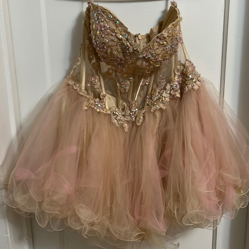 Poly USA Prom Dress